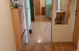 Apartament 3 camere, 56 mp, zona Sagului 