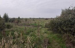 Teren de 39600 mp, PUZ, lângă Staţia de Epurare 