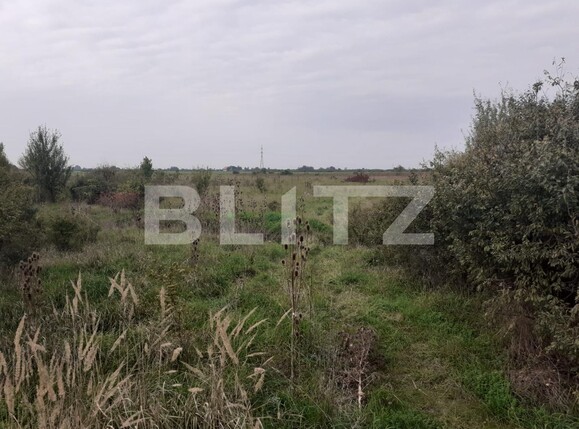 Teren de vânzare Garii - 99247TV | BLITZ Timișoara | Poza1