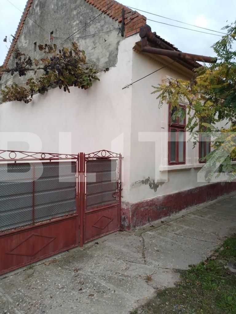 Casa de vânzare 6 camere Exterior Sud - 99258CV | BLITZ Timișoara | Poza1