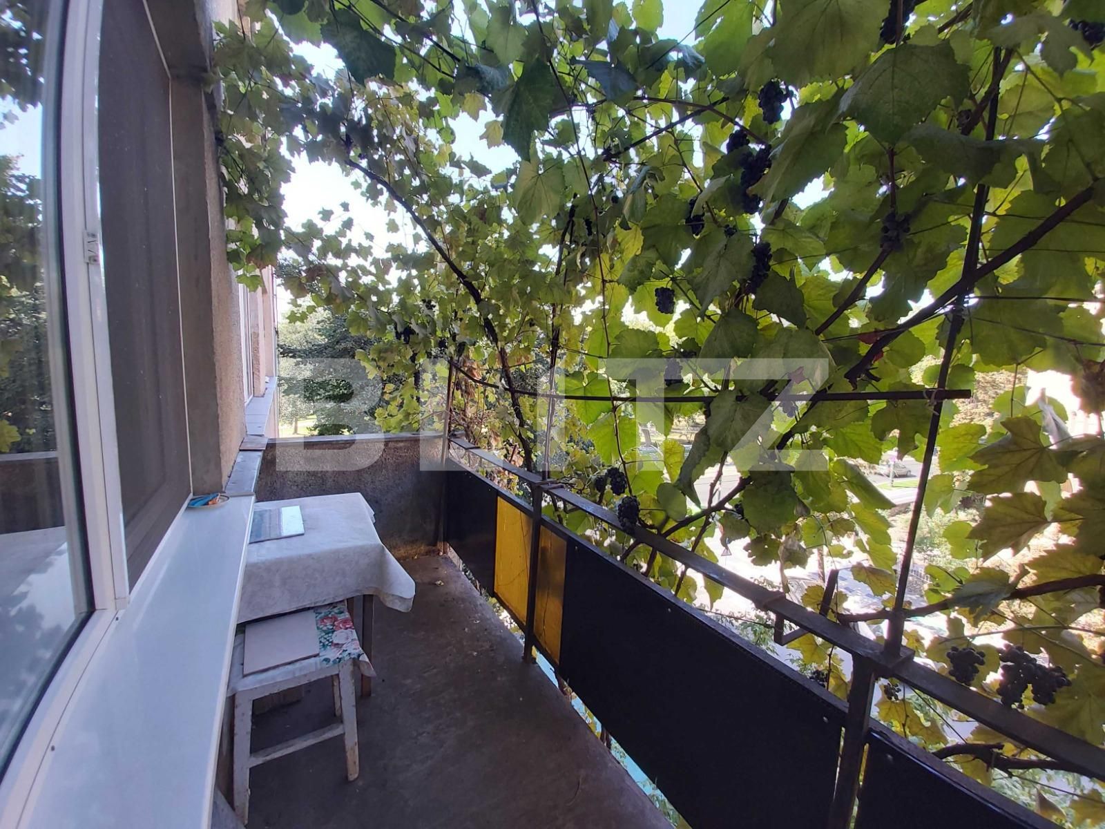 Apartament de închiriat 2 camere Ultracentral - 99301AI | BLITZ Timișoara | Poza6