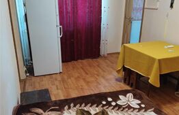 Apartament 2 camere, 33 mp, mobilat/utilat, Sagului