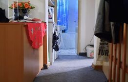 Apartament mare de doua camere, 57 mp,  zona Freidorf