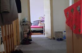 Apartament mare de doua camere, 57 mp,  zona Freidorf