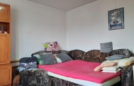 Apartament mare de doua camere, 57 mp,  zona Freidorf