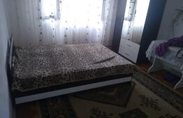 Apartament de 2 camere, 42 mp, mobilat/utilat, zona Blașcovici