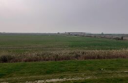 Teren de 5 ha, în zona Şagului lângă Centură