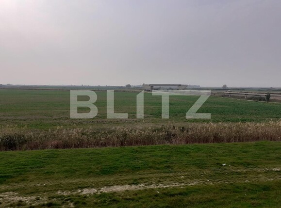 Teren de vânzare Sagului - 99360TV | BLITZ Timișoara | Poza3