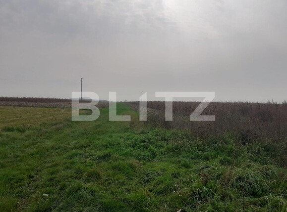 Teren de vânzare Sagului - 99360TV | BLITZ Timișoara | Poza2