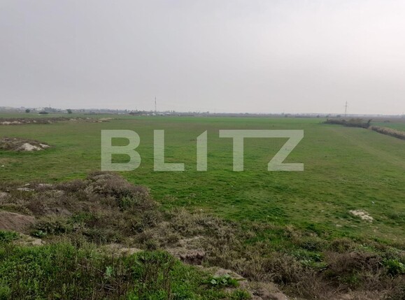 Teren de vânzare Sagului - 99360TV | BLITZ Timișoara | Poza4