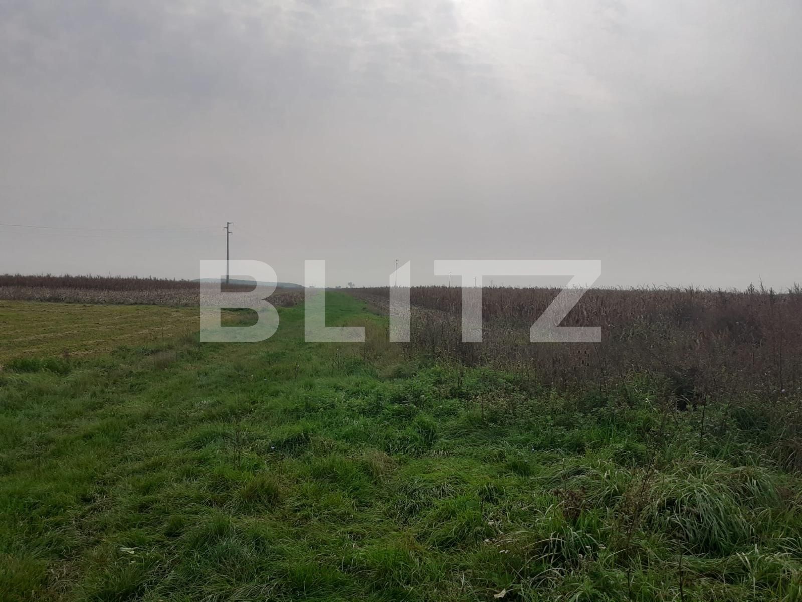 Teren de vânzare Sagului - 99360TV | BLITZ Timișoara | Poza2