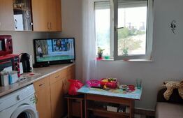 Apartament de 2 camere, etaj intermediar, 28 mp, zona Steaua