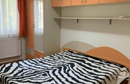 Apartament 3 camere, centrala proprie, 53 mp, zona Dacia