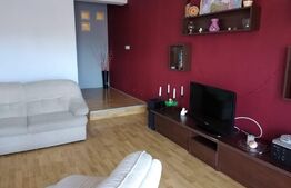 Casa individuala, 8 camere, 340 mp, teren 300 mp, Lugoj 