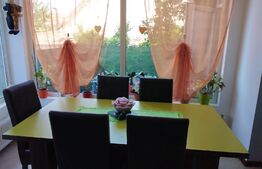 Casa individuala, 8 camere, 340 mp, teren 300 mp, Lugoj 