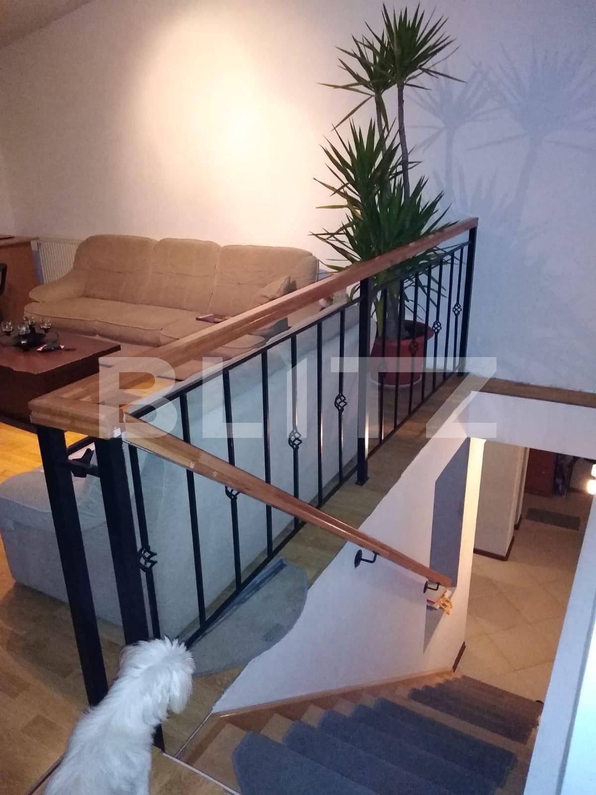 Casa de vânzare 8 camere Lugoj - 99558CV | BLITZ Timișoara | Poza7