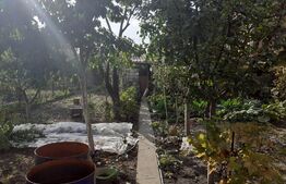 Casă de 170 mp, teren de 600 mp, în Ronaţ