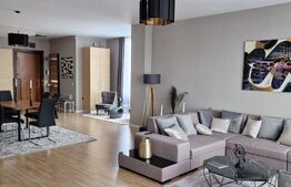 Apartament de 4 camere, de lux, 150 mp, pe malul Begăi