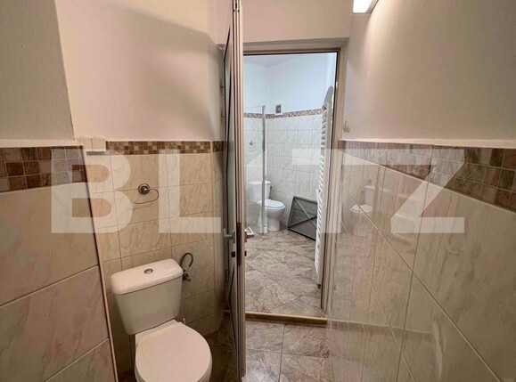Spațiu comercial de închiriat Semicentral - 99778SIC | BLITZ Timișoara | Poza6