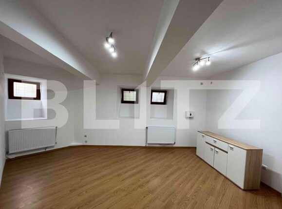 Spațiu comercial de închiriat Semicentral - 99778SIC | BLITZ Timișoara | Poza1