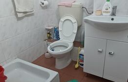 Spatiu comercial, 68 mp, zona Lipovei 