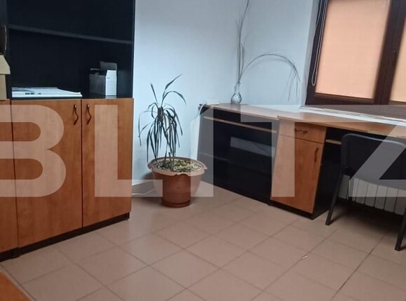 Spațiu comercial de închiriat Lipovei - 99943SIC | BLITZ Timișoara | Poza3