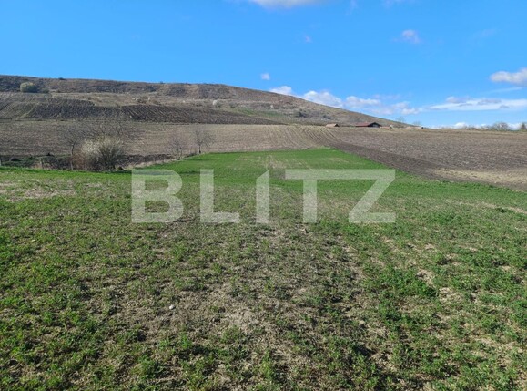 Casa de vânzare 3 camere Boian - 137993CV | BLITZ Turda | Poza2