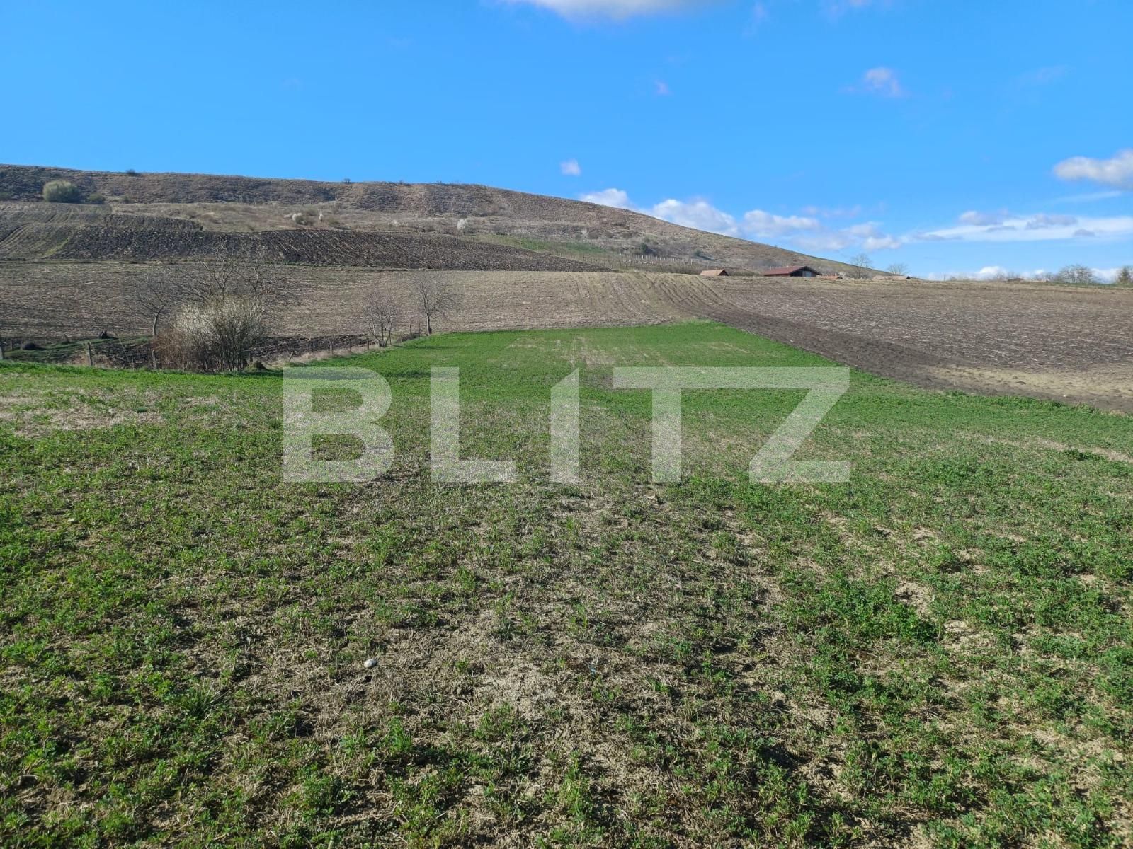 Casa de vânzare 3 camere Boian - 137993CV | BLITZ Turda | Poza2