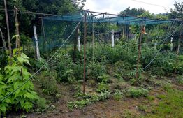 Casa individuala in Turda, 60 mp utili, 396 mp teren