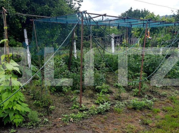 Casa de vânzare 2 camere Vest - 141616CV | BLITZ Turda | Poza12