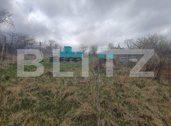 Casa de vânzare 5 camere Nord - 148894CV | BLITZ Turda | Poza5