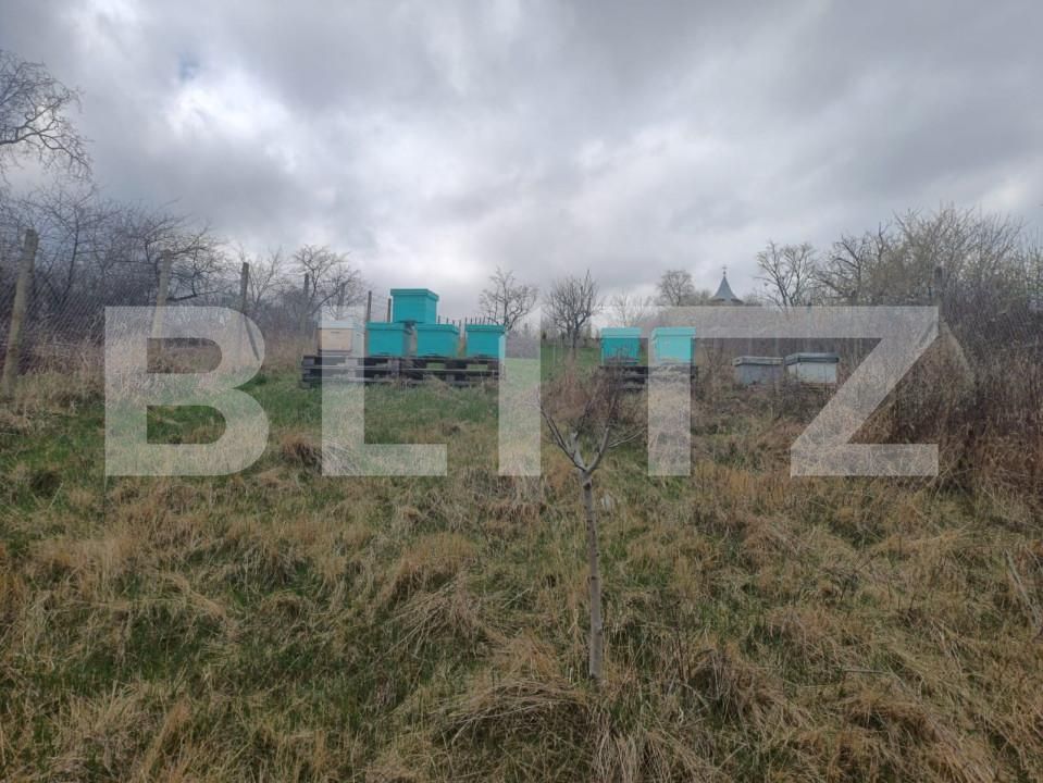 Casa de vânzare 5 camere Nord - 148894CV | BLITZ Turda | Poza5