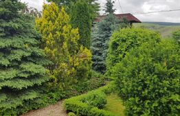 Proprietate HORECA cu sala de evenimente moderna, intr-o oaza de liniste 