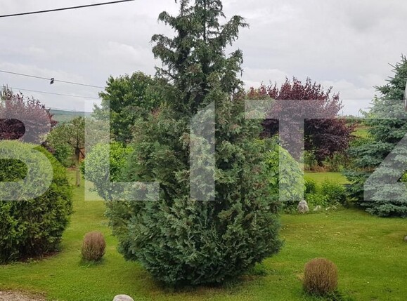 Spațiu comercial de vânzare Central - 149701SVC | BLITZ Turda | Poza2