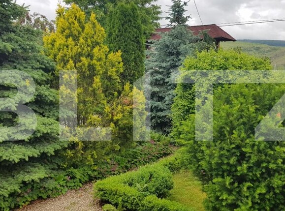 Spațiu comercial de vânzare Central - 149701SVC | BLITZ Turda | Poza4