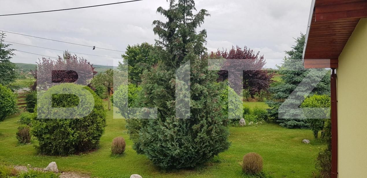 Spațiu comercial de vânzare Central - 149701SVC | BLITZ Turda | Poza2