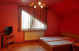  Oportunitate de investitie! Casa individuala 9 camere, 868 mp teren,Turda