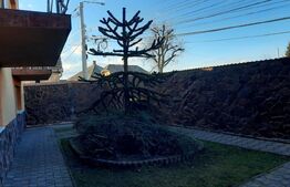  Oportunitate de investitie! Casa individuala 9 camere, 868 mp teren,Turda