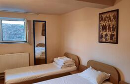  Oportunitate de investitie! Casa individuala 9 camere, 868 mp teren,Turda