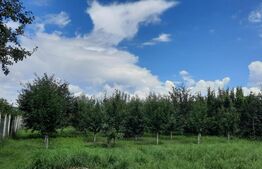 Casa individuala, 268 mp utili, 2145 teren, livada, Turda