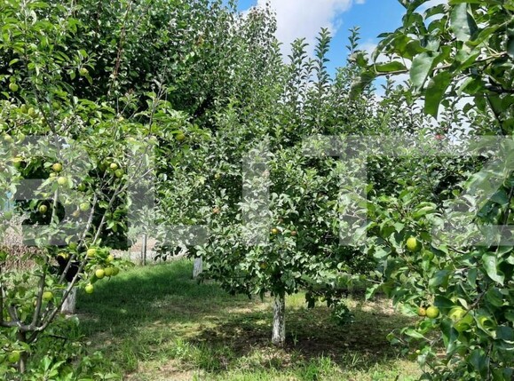 Casa de vânzare 6 camere Est - 150121CV | BLITZ Turda | Poza3