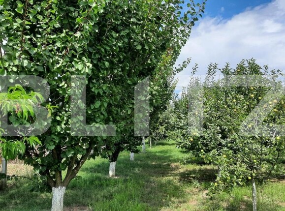 Casa de vânzare 6 camere Est - 150121CV | BLITZ Turda | Poza6