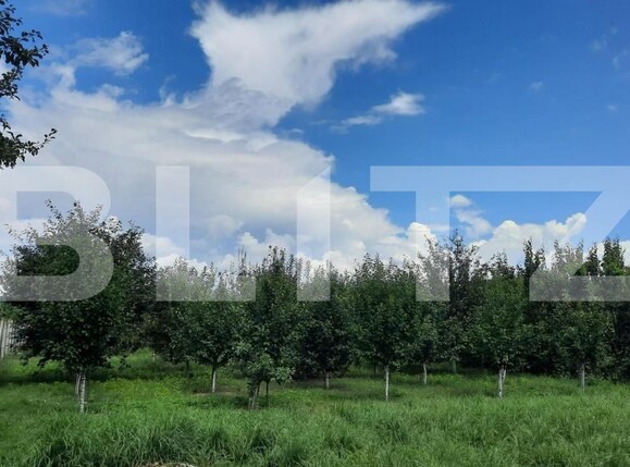 Casa de vânzare 6 camere Est - 150121CV | BLITZ Turda | Poza4