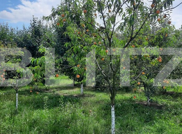 Casa de vânzare 6 camere Est - 150121CV | BLITZ Turda | Poza5