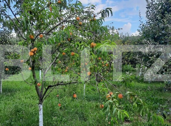 Casa de vânzare 6 camere Est - 150121CV | BLITZ Turda | Poza7