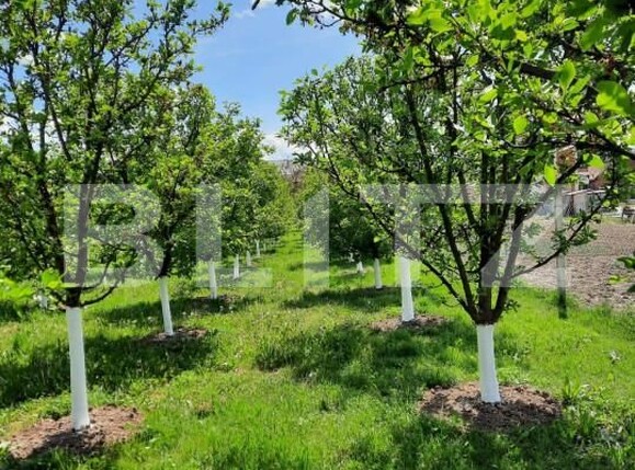 Casa de vânzare 6 camere Est - 150121CV | BLITZ Turda | Poza8