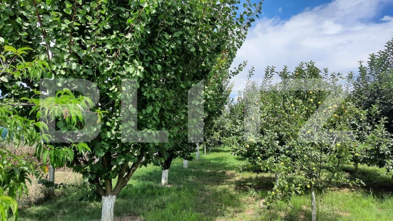 Casa de vânzare 6 camere Est - 150121CV | BLITZ Turda | Poza6