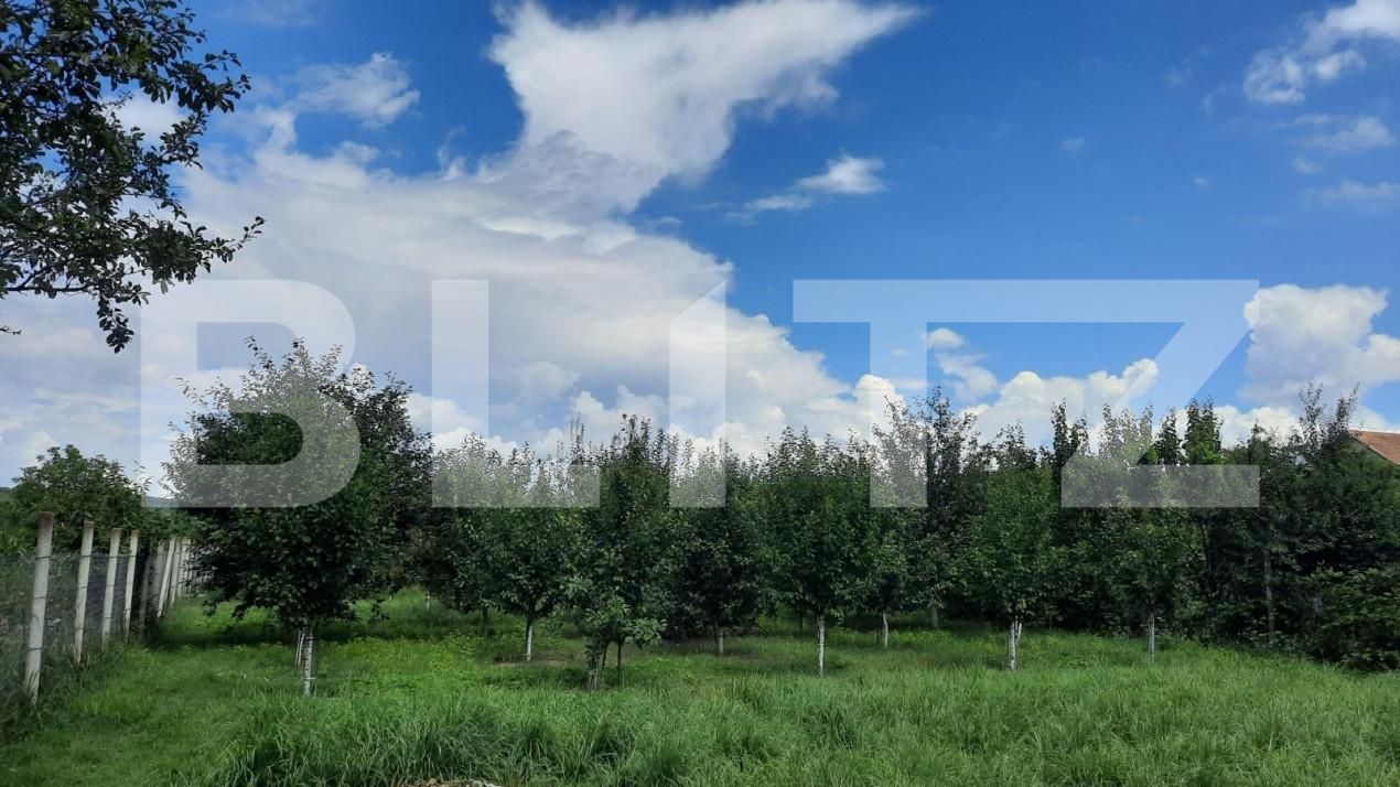 Casa de vânzare 6 camere Est - 150121CV | BLITZ Turda | Poza4