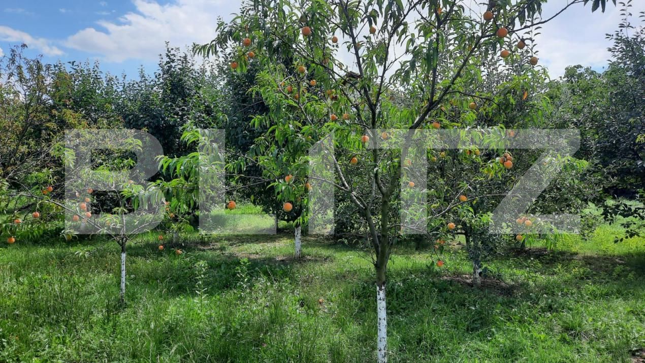 Casa de vânzare 6 camere Est - 150121CV | BLITZ Turda | Poza5