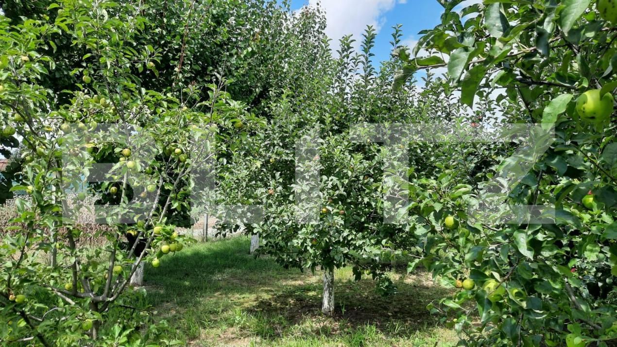 Casa de vânzare 6 camere Est - 150121CV | BLITZ Turda | Poza3